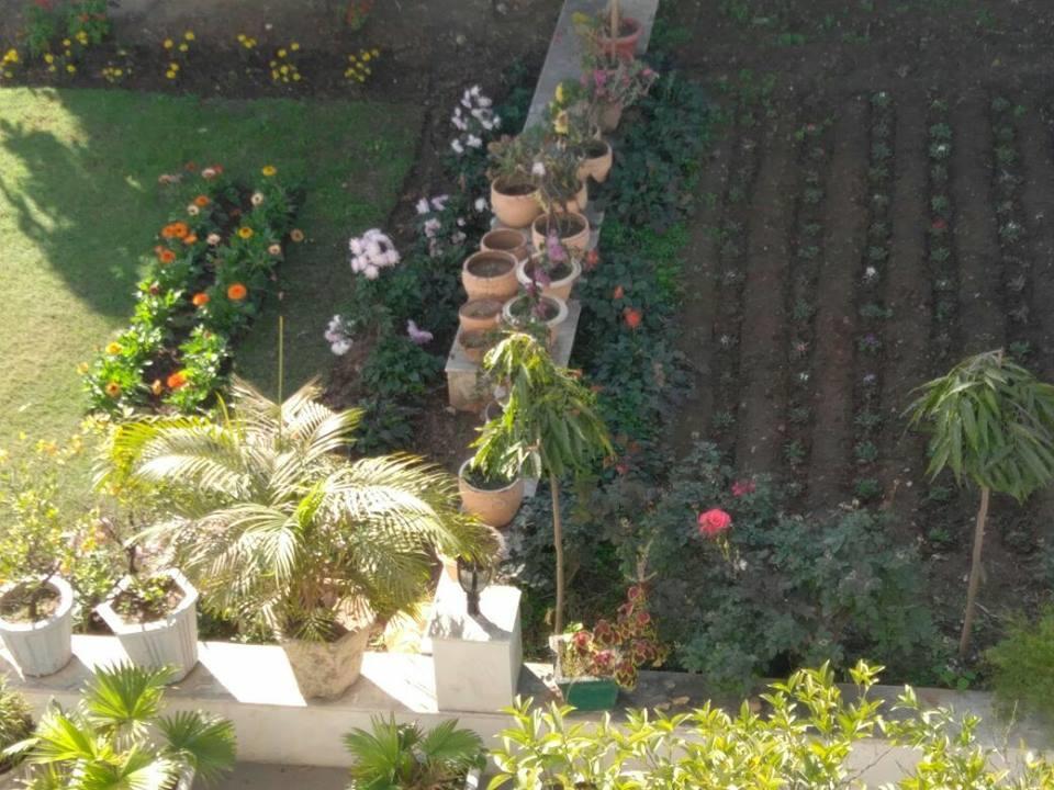 Heritage Homestay Jammu Buitenkant foto
