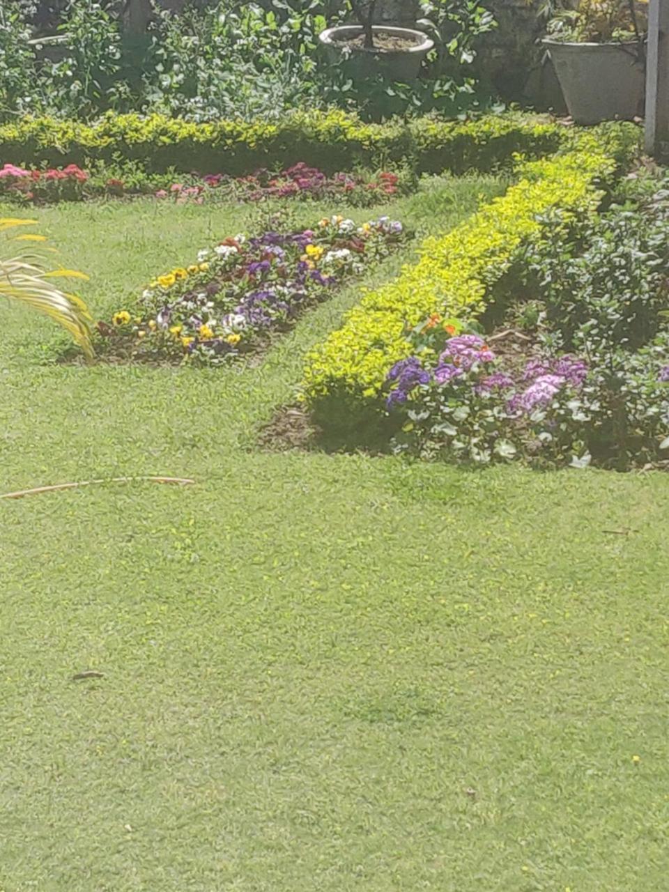 Heritage Homestay Jammu Buitenkant foto