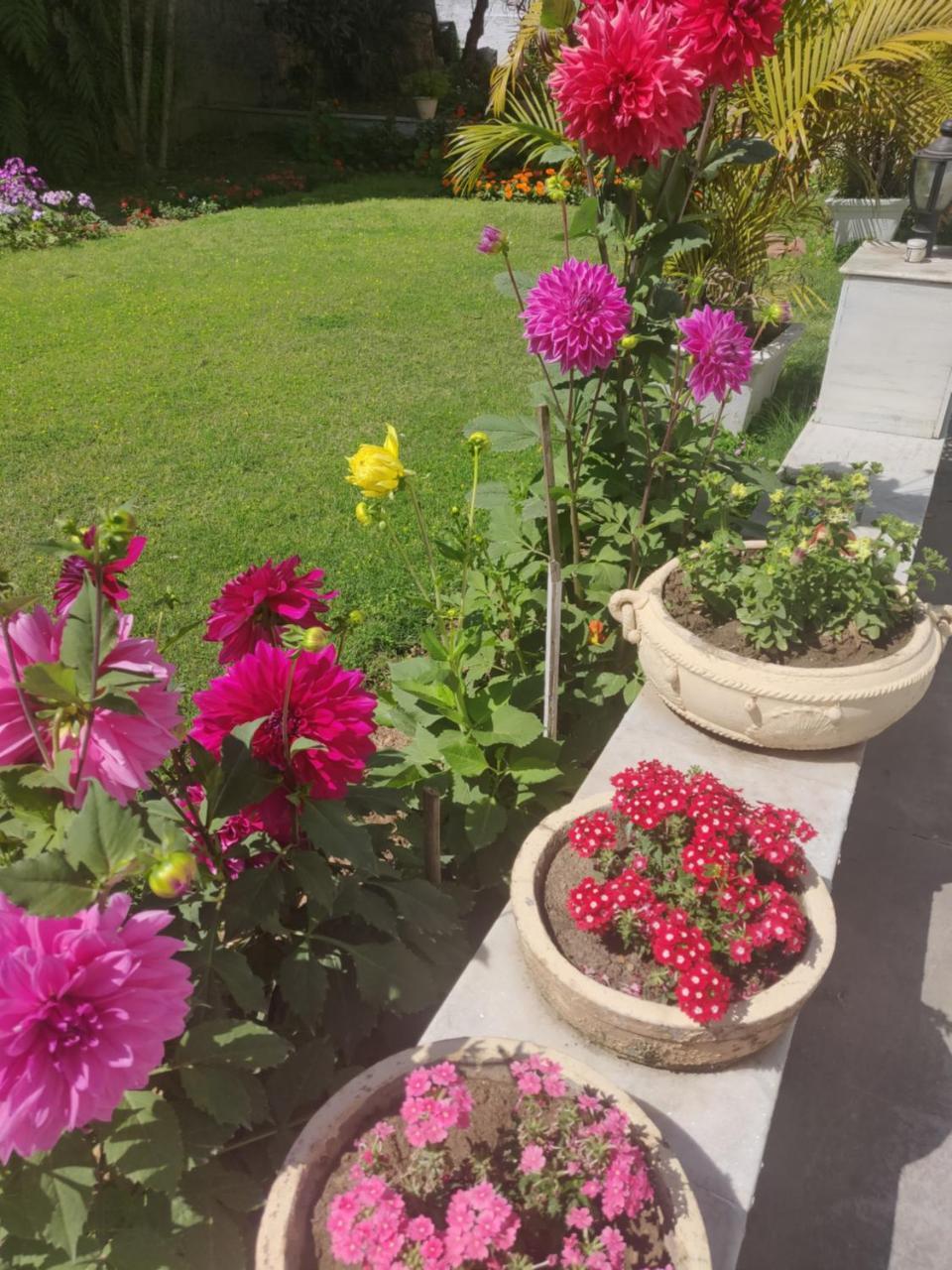 Heritage Homestay Jammu Buitenkant foto